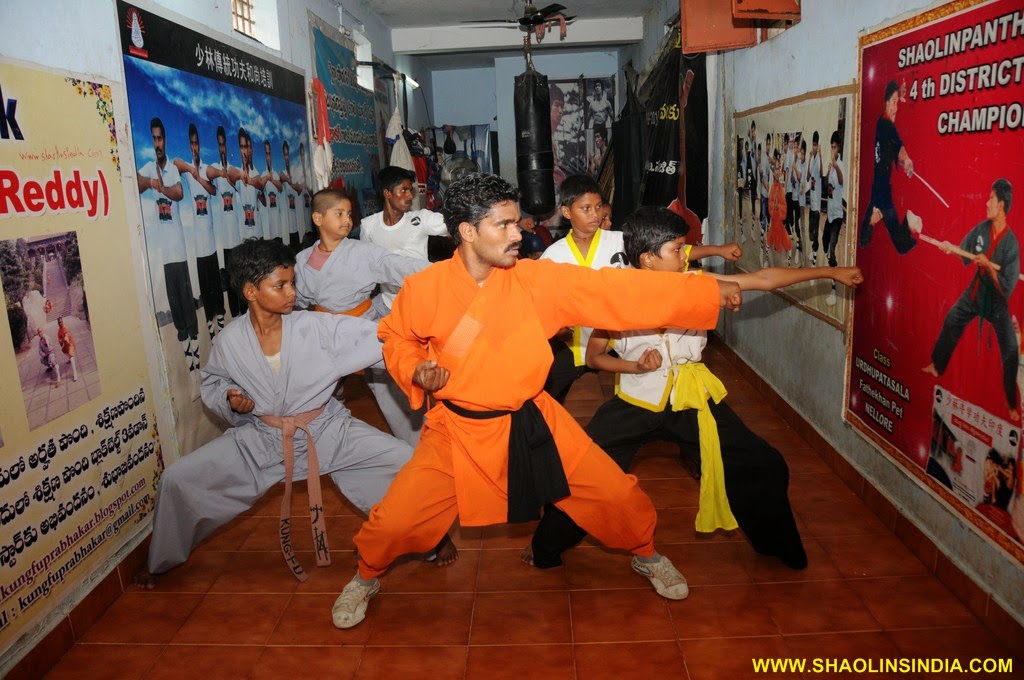 Kung Fu Training Book